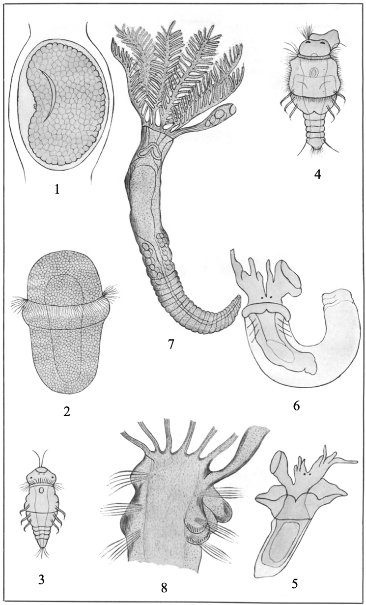 figure image